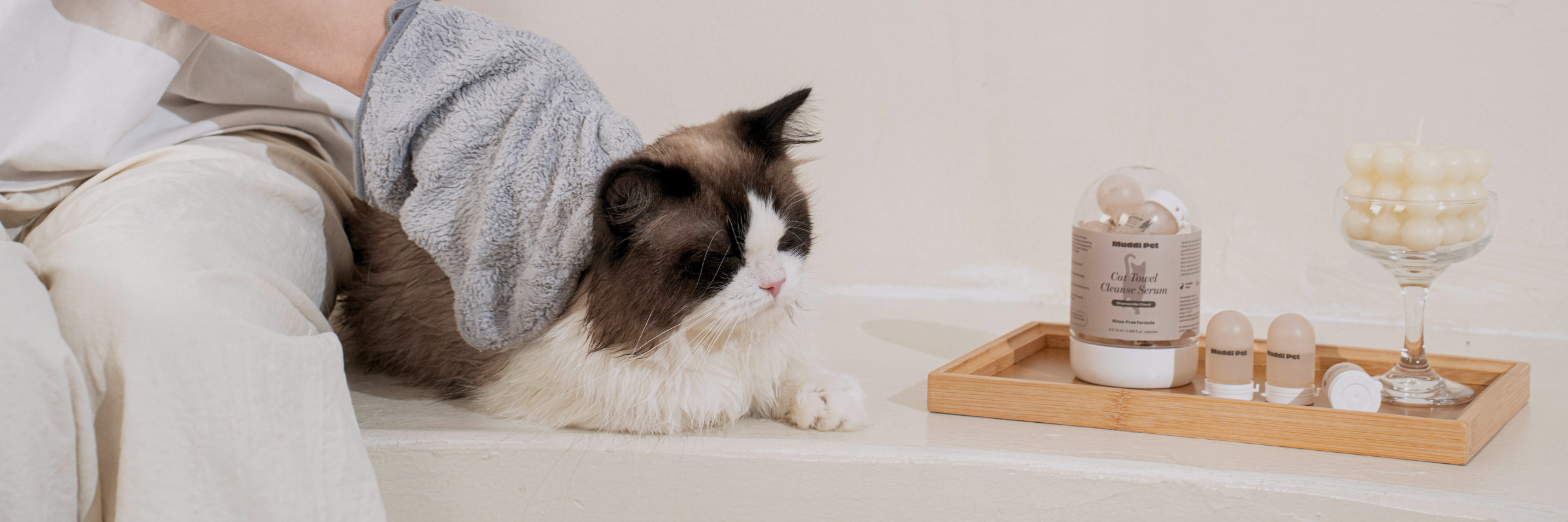 Cat Grooming, Reimagined: How to Keep Your Cat Clean Without the Stress