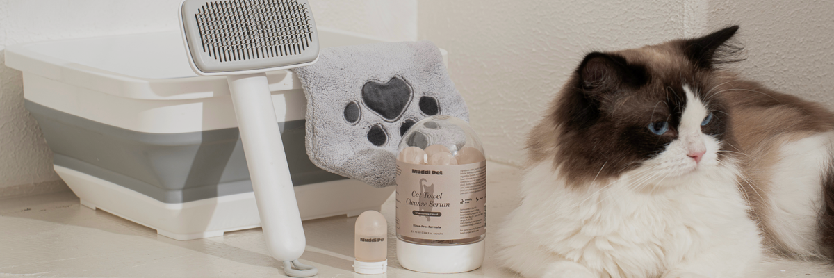 Founder Juexin Wang with a cat during a rinse-free towel cleanse