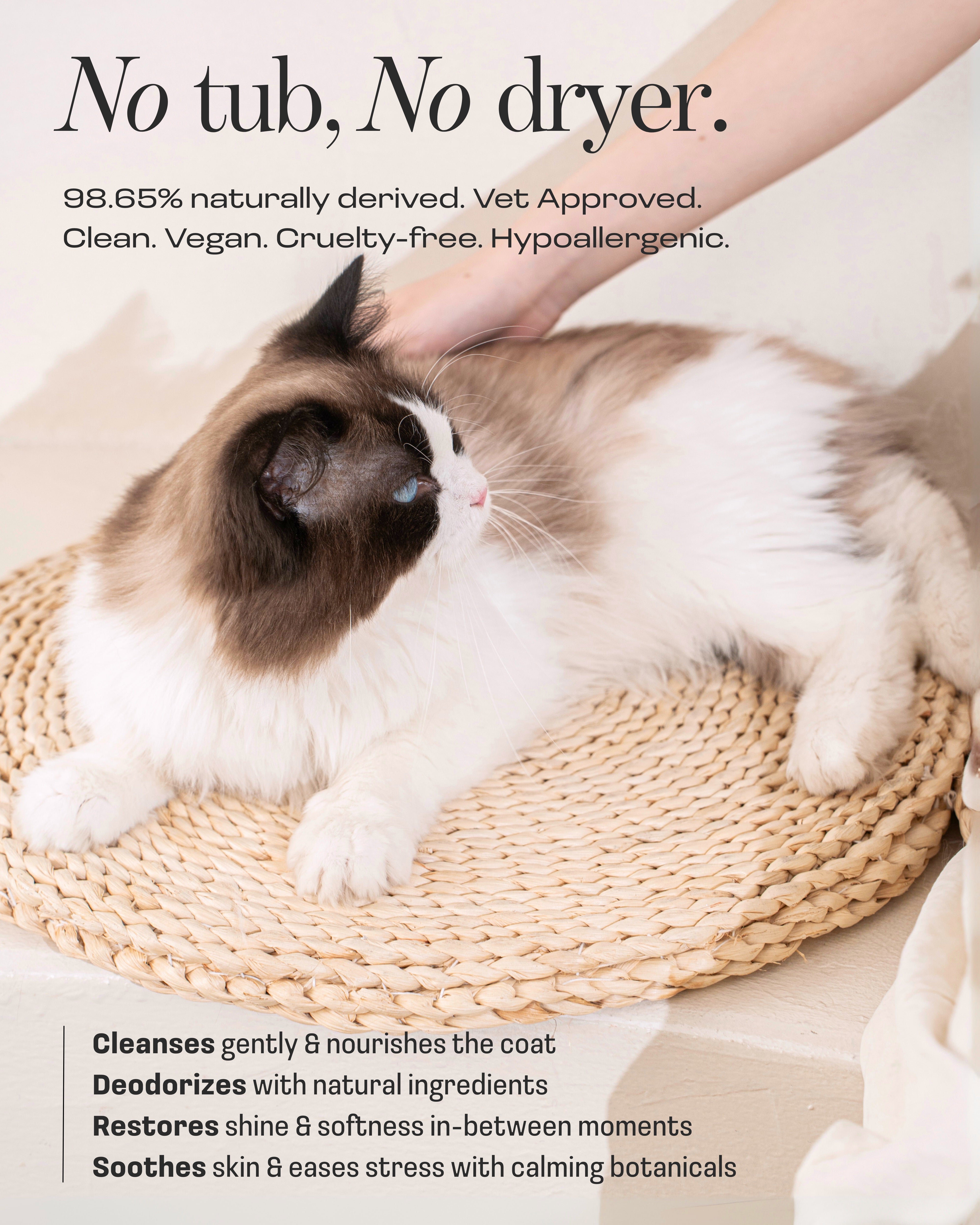 Cat Concentrated Rinse-Free Towel Cleanse Serum