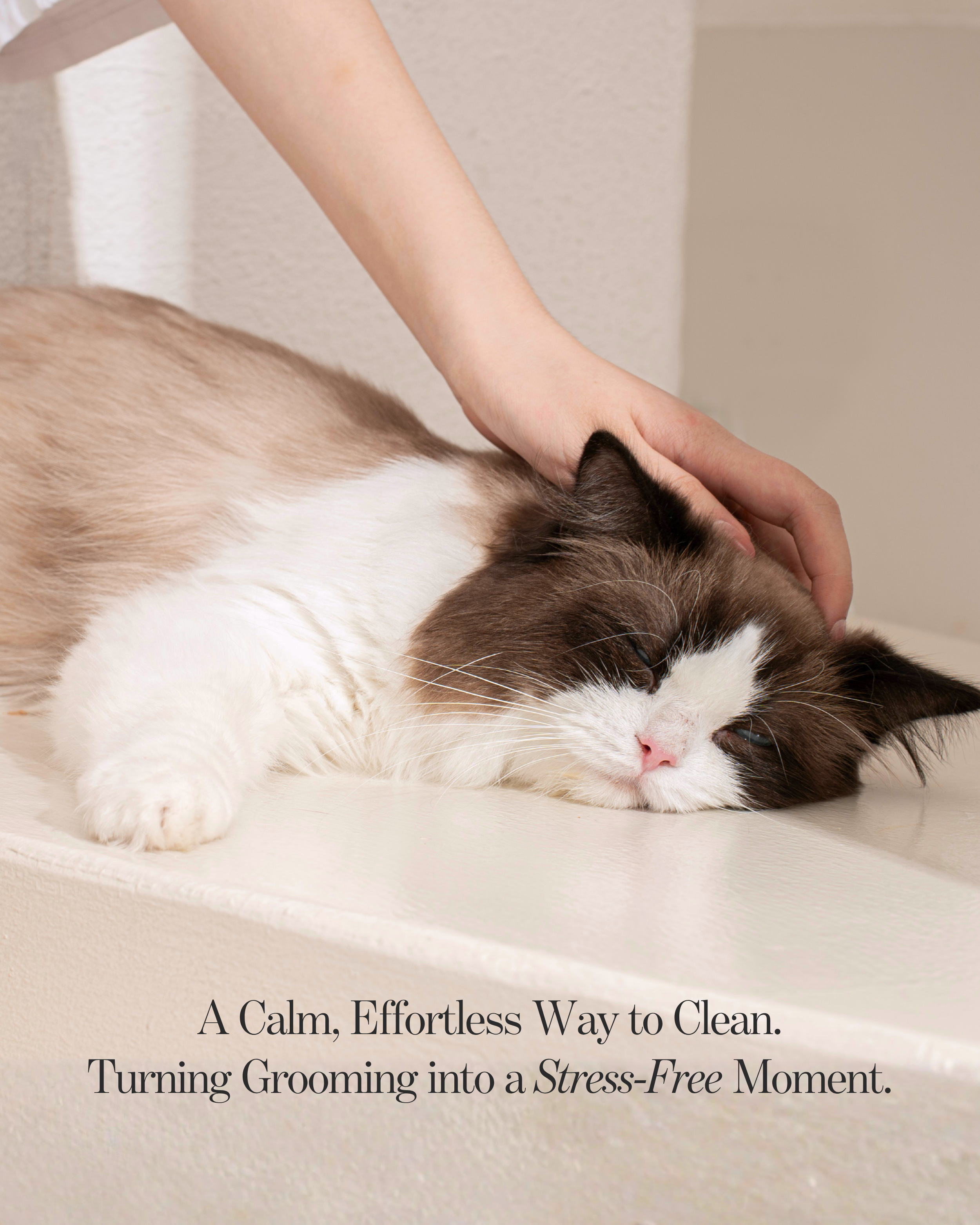 Cat Concentrated Rinse-Free Towel Cleanse Serum