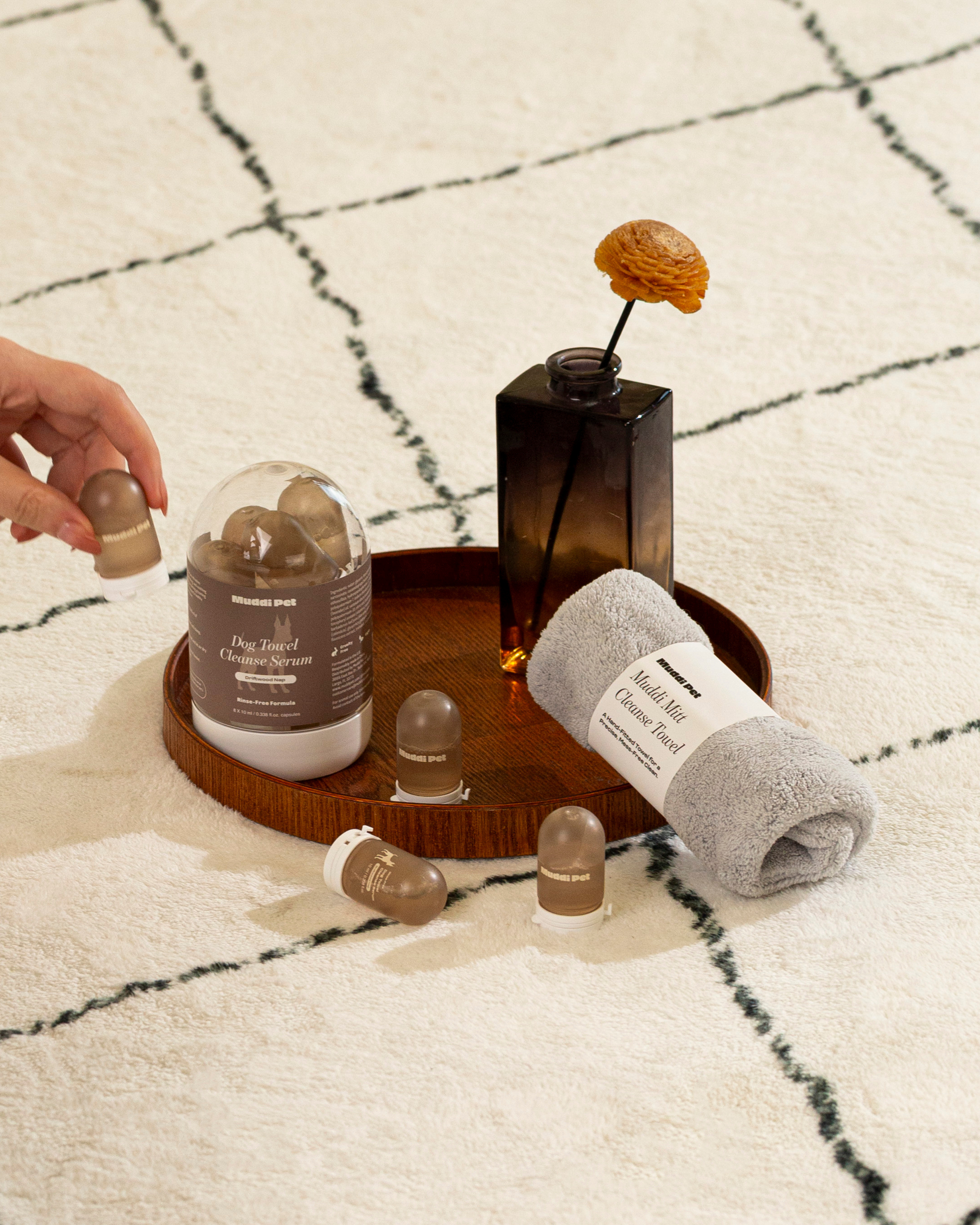 Dog Rinse-Free Towel Cleanse Serum