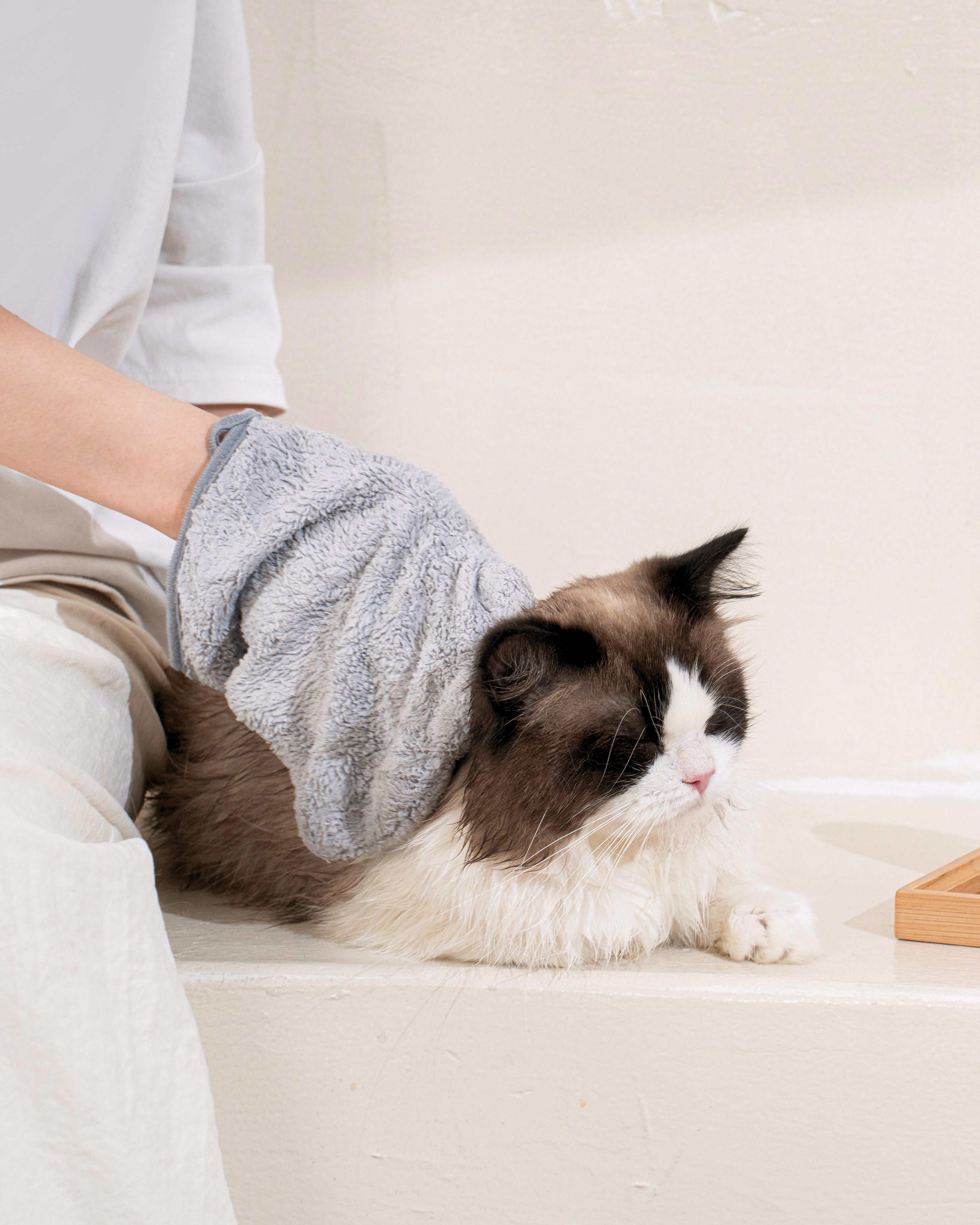 Cat Rinse-Free Towel Cleanse Serum