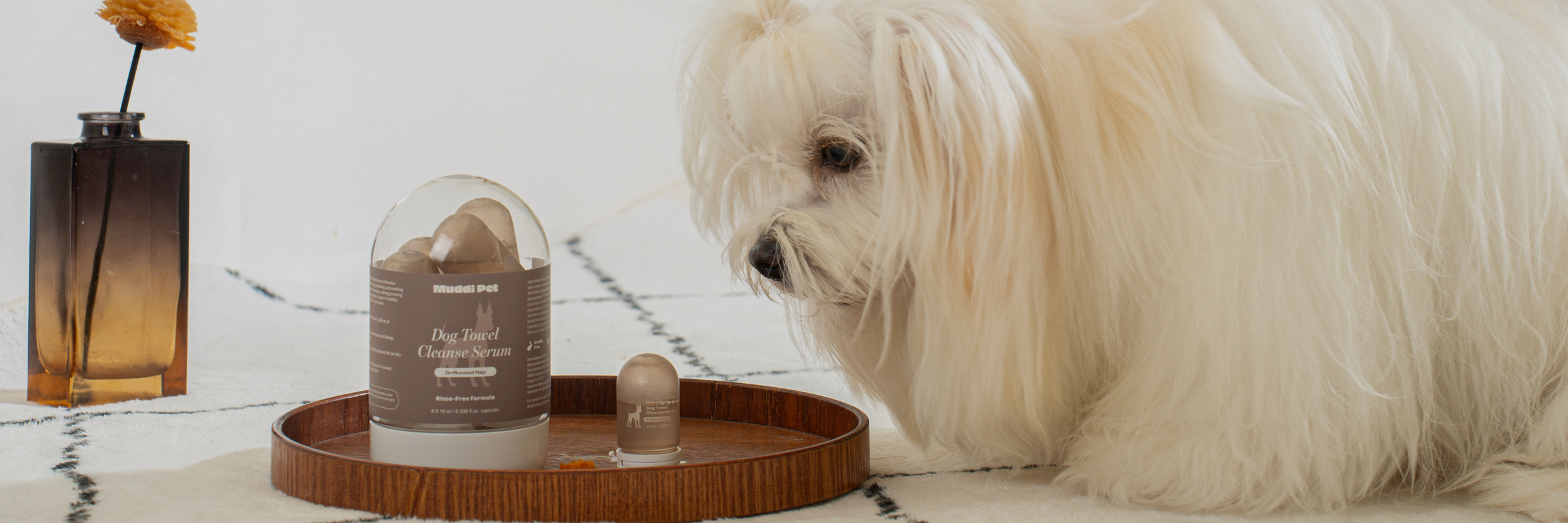 Why Rinse-Free Grooming Is Changing the Way Pet Parents Refresh Their Pets