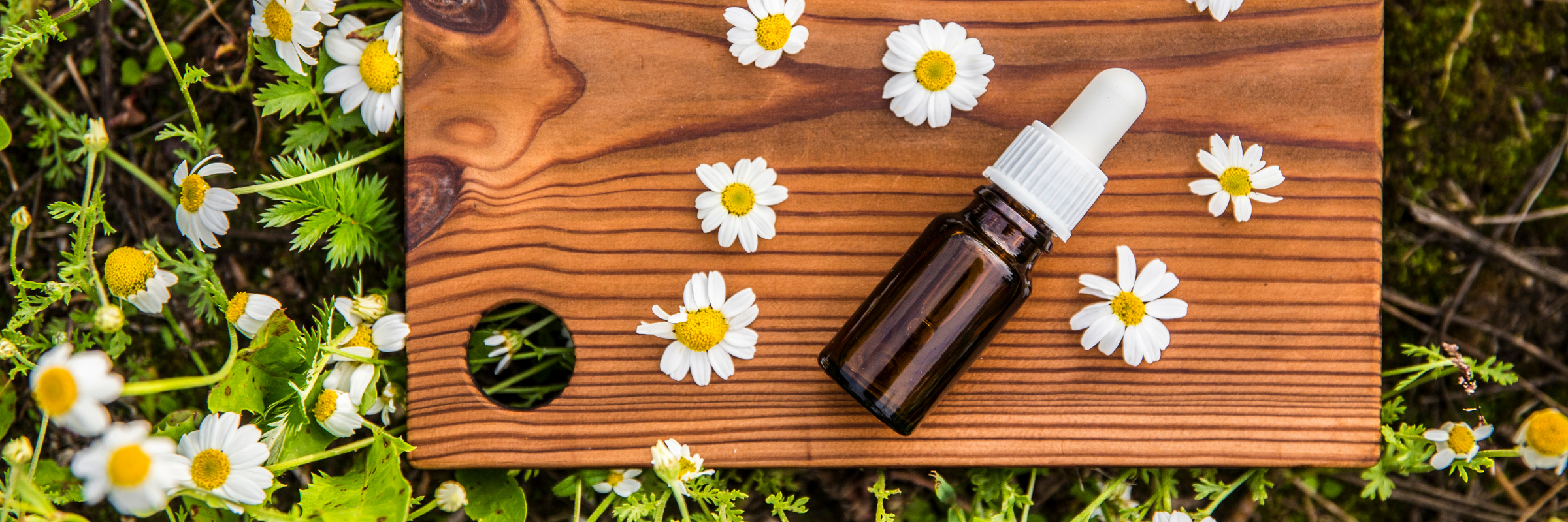Brown glass essential oil bottle with chamomile flowers on wood, symbolizing aromatherapy in modern pet grooming.