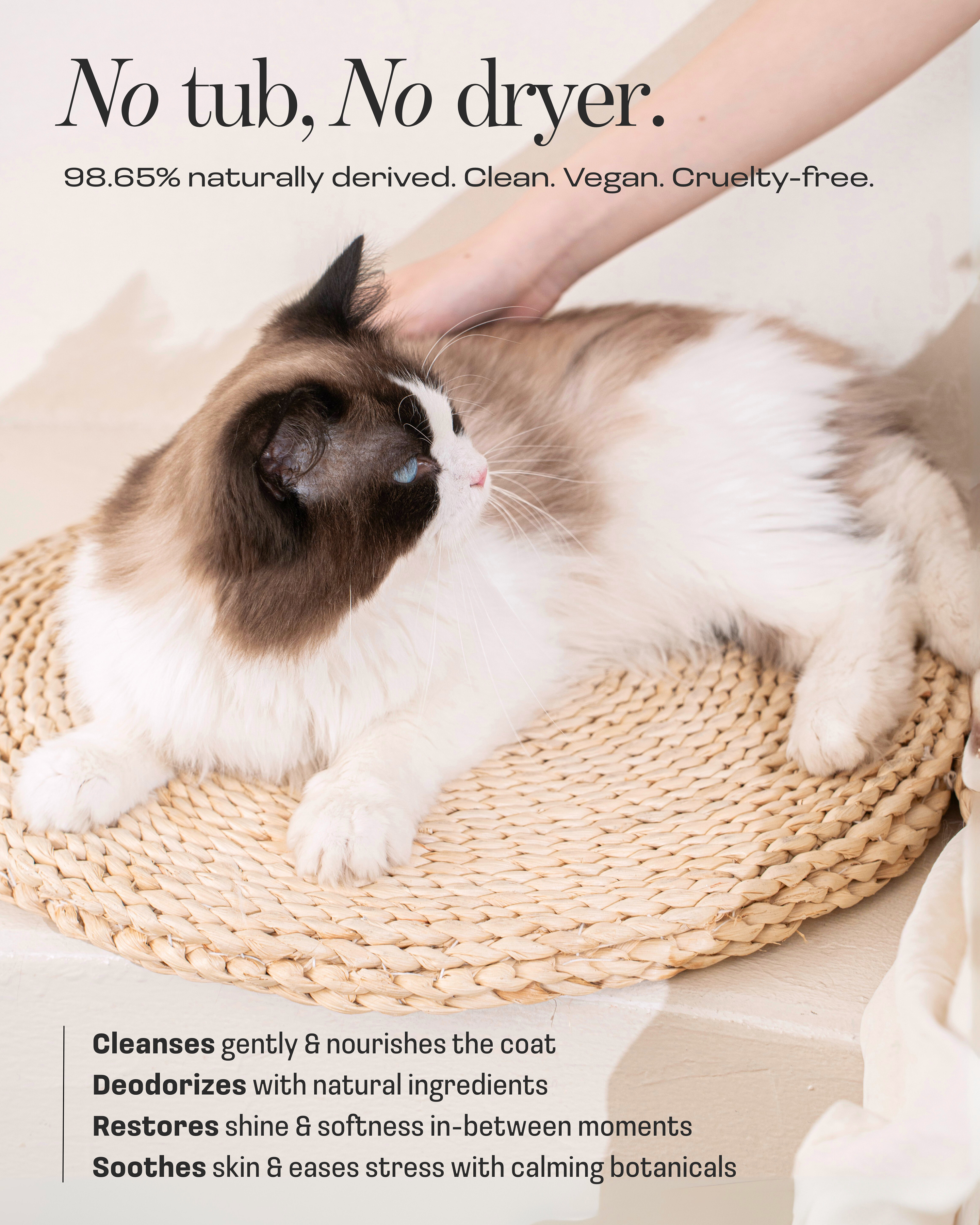 Cat Rinse-Free Towel Cleanse Serum
