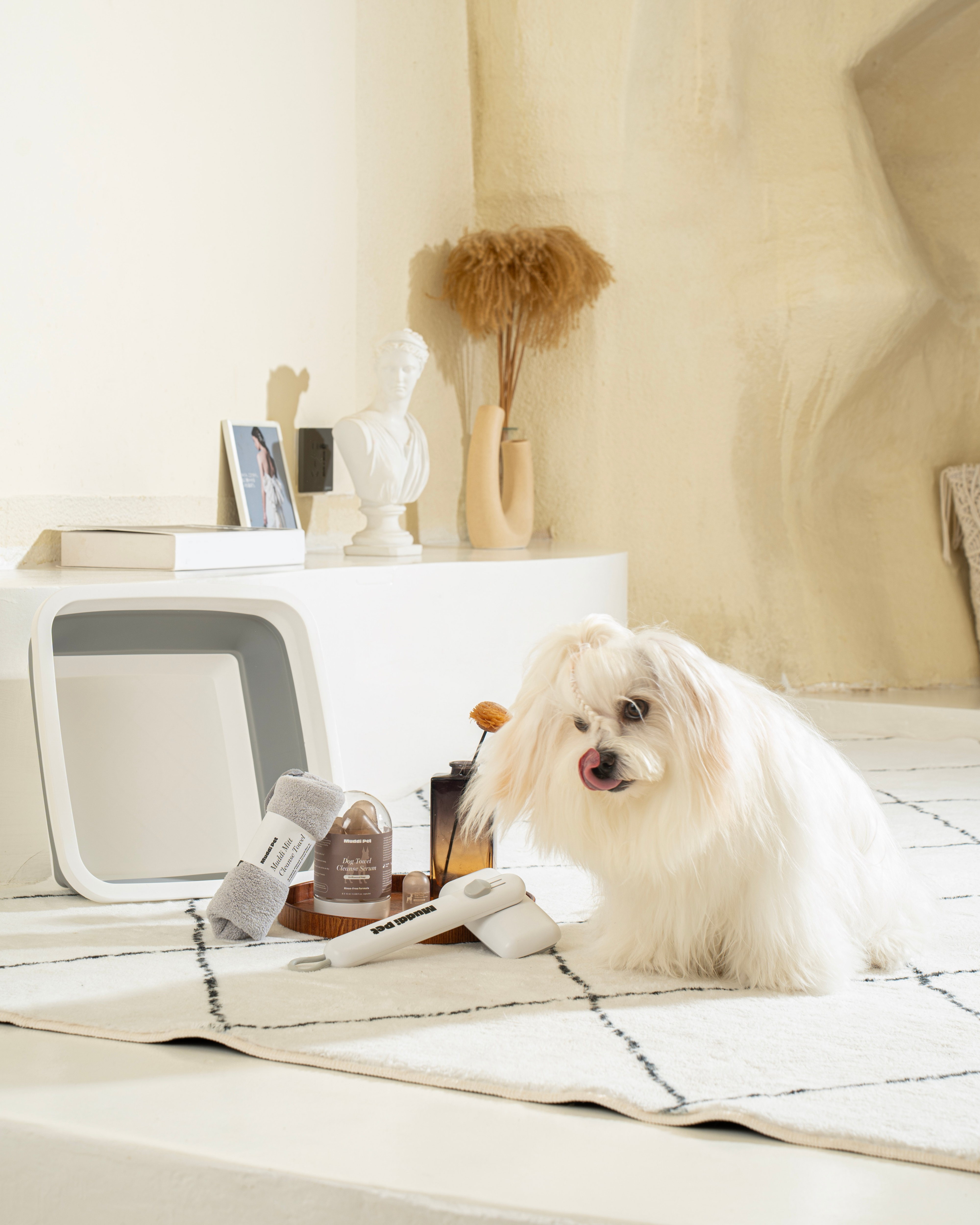 Dog Rinse-Free Towel Cleanse Serum